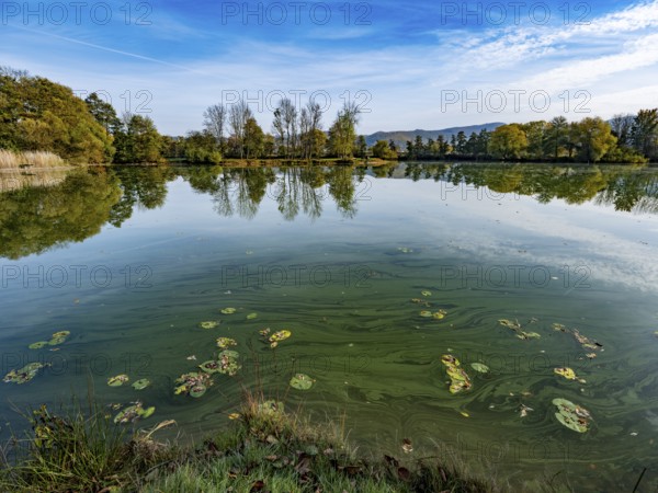 Quarry pond Bruchteiche, Bad Sooden-Allendorf, Hesse, Germany, Europe