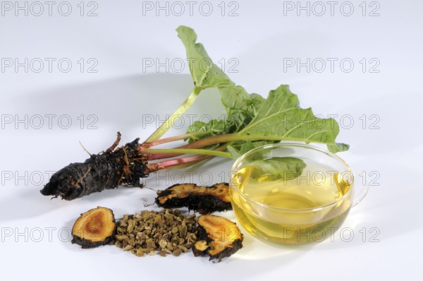 Rhubarb root (Rheum palmatum) cup rhubarb root tea, rhubarb, root, rhubarb root tea