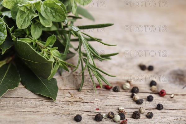 Fresh kitchen herbs in bunches, consisting of thyme, bay leaf, sage and rosemary