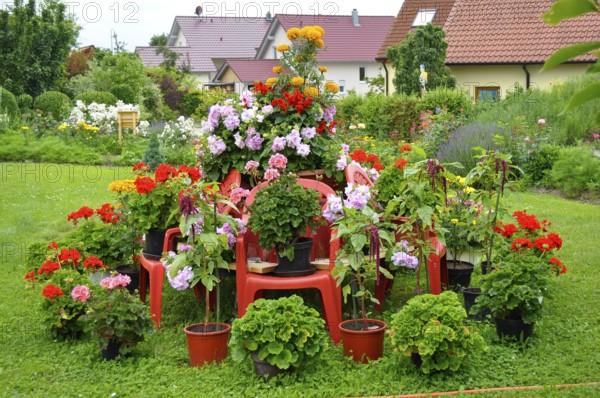 Flower garden in summer, home garden