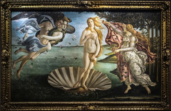 FLORENCE, TUSCANY/ITALY - OCTOBER 19 : The birth of Venus painting in the Uffizi gallery in Florence on October 19, 2019