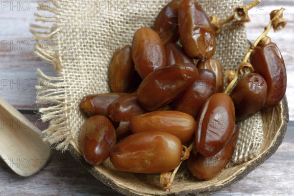 Fresh dates in a wooden bowl on raffia cloth with a wooden spoon