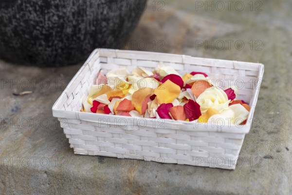 Rose petals, wedding ceremony, wedding, Germany, Europe