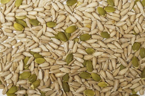 Background photograph top view of a pile of peeled pumpkin and sunflower seeds