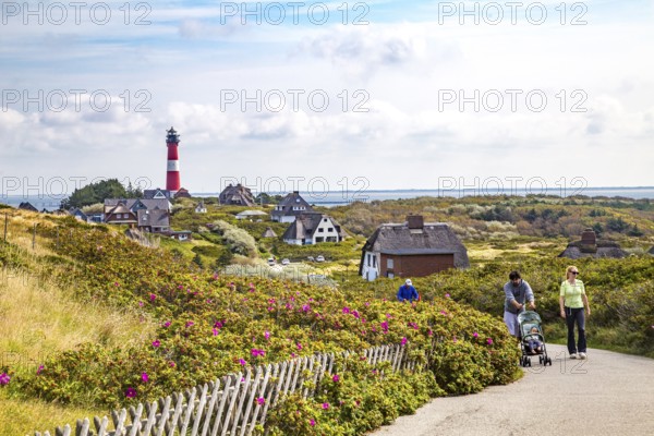 Lighthouse and thatched-roof villas of the Kersig estate in the dunes, Hörnum, Sylt
