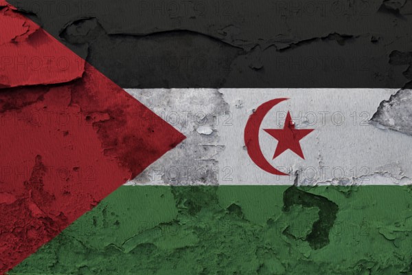 Western Sahara Flag painted on the cracked grunge concrete wall