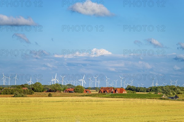 Rural scene with wind turbines behind a golden yellow field and farmhouses under a cloudy blue sky, wind farm near Nessmersiel, Dornum, East Frisia, Lower Saxony