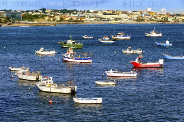 Colorful view of small fishing boats on sunny day in bay of Cascais, Portugal, quiet and luxurious seaside town near Lisbon with beaches and small port. Clear blue sky, clouds, sunshine, calm ocean waters, houses on coastline, Europe