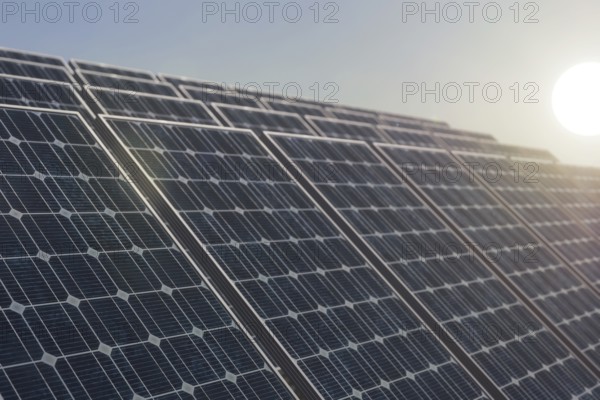 Solar power plant against the rising sun, selective focus on the first solar panel. Alternative energy concept, 3d rendering