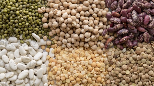 Close up view various beans arrangement