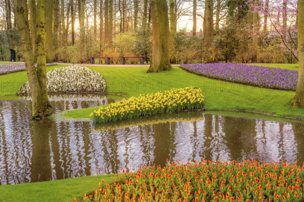 Multicolored flowers and river landscape in Keukenhof, Netherlands
