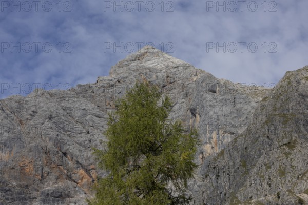 Mountain panorama Schönfeldspitze 1800m, in the Steinernes Meer in Salzburg