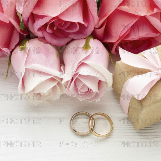 Close up pink roses wedding rings. High resolution photo
