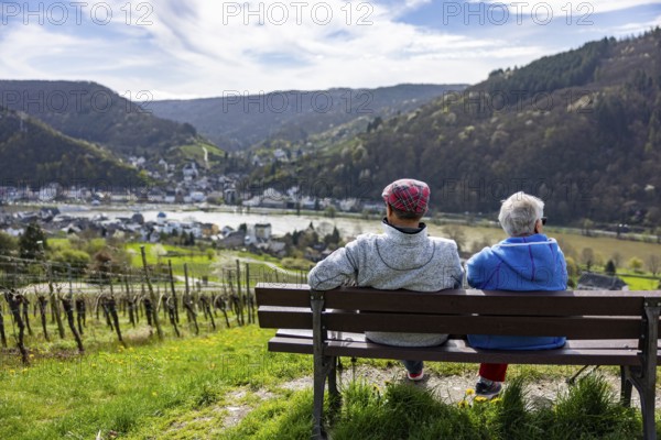 Senior couple sitting on a bench in the vineyards and looking at the Moselle and the town, Traben-Trarbach, Rhineland-Palatinate, Germany, Europe