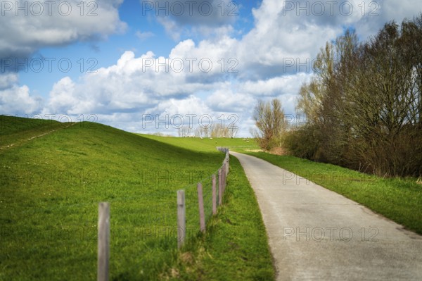 A path leads through a spring-like landscape with green meadows and a clear sky, Leer, East Frisia, Lower Saxony