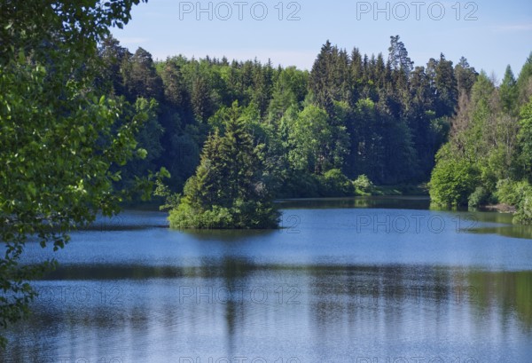 Retention basin near Haslach, Baden-Württemberg, Germany, Europe