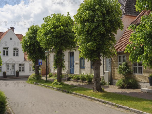 Green trees and charming houses line a quiet, sunny street with well-tended front gardens, arnis, schleswig-holstein, germany