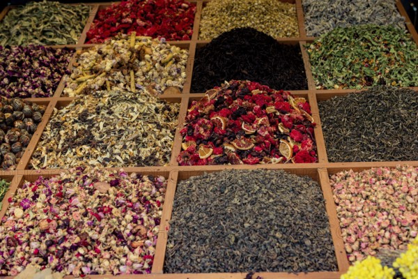 Variety of spices and herbs as Colorful spice background