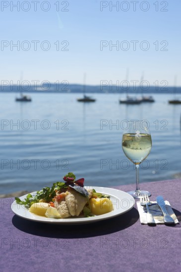 Fish dish Bodenseefelchen at the Rebmannshof restaurant in Maurach on Lake Constance, Baden-Württemberg, Germany, Europe