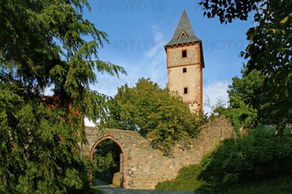 Frankenstein Castle, built in front of 1250, Odenwald, Bergstrasse, near Darmstadt, Hesse, Germany, Europe