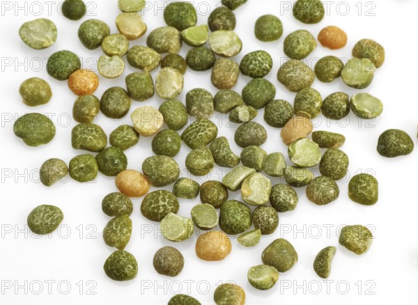 Garden pea, edible pea, pea, butterfly, Split Peas, pisum sativum, Seeds against White Bakcground