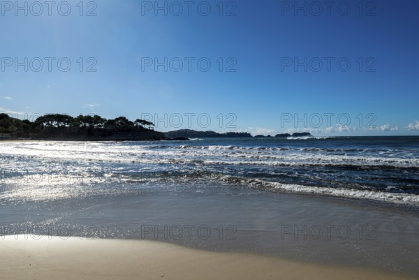 View from the beach promenade at Playa Palmira in Paguera or Peguera, municipality of Calvià, Majorca, Balearic Islands, Spain, Europe