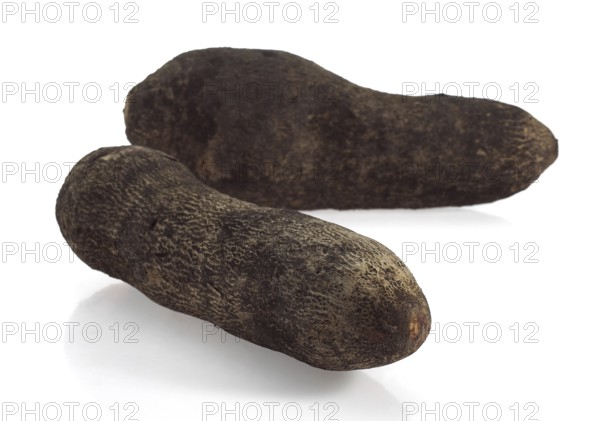 Yam (dioscorea) against White Background