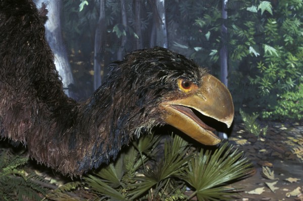 Diatryma, a carnivorous prehistoric bird, lived 50 million years ago