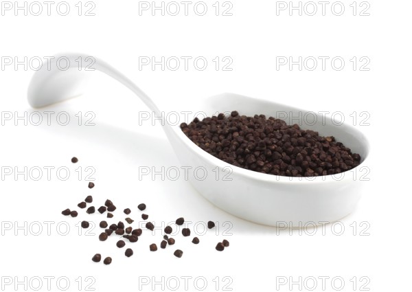 Grains of paradise, melegueta pepper, guinea pepper, ginger family, Grains of Paradise, aframomum meleguetan Spice against white background