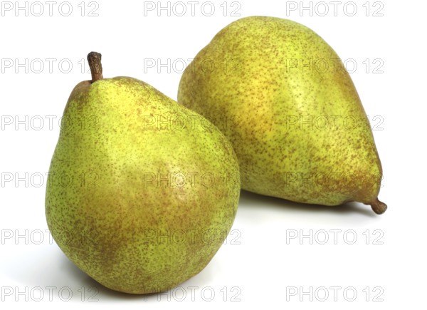 Culture pear, pear, rose family, Comice Pear (pyrus communis) against white background