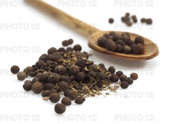 Allspice, clove pepper, Jamaica pepper (Pimenta officinalis), myrtle family, JAMAICA PEPPER against a white background