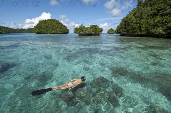 Snorkelers, Lagoon, Palau, Bismarck Archipelago, Micronesia, Oceania