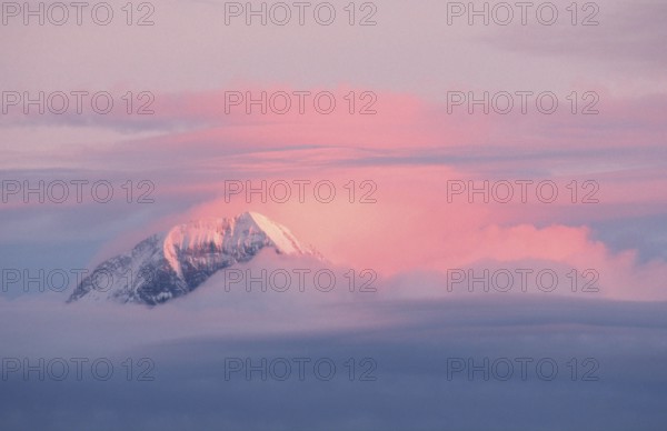 Alpine peaks and clouds in the evening light (Eiger Mönch), Bernese Oberland (dusk) (twilight) (Europe) (Landscapes) (landscapes) (mountains) (landscape) (horizontal), View from Niederhorn, Switzerland, Europe