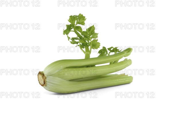 Fresh celery stalks with leaves isolated on white background