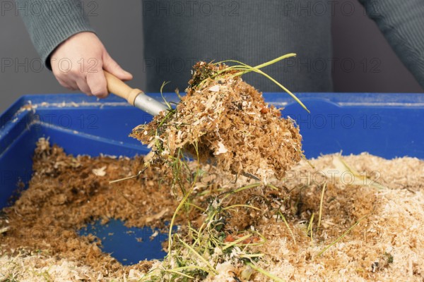 Cleaning the rabbit cage, scatter and straw with rabbit shit and leftover vegetables, taking care of a pet, shovel with waste