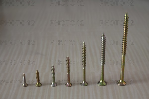 Chipboard screws, wood screws, Torx, various sizes, a set of screws, lined up, neat, tidy