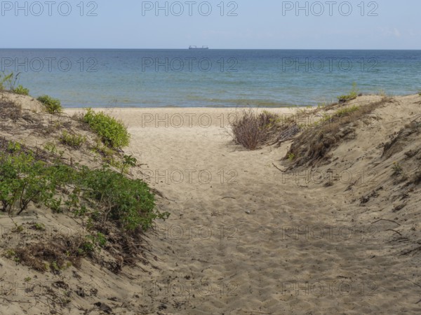 Path through the dunes to the sea, plants on the sides, calm water in the background, sopot, baltic sea, poland