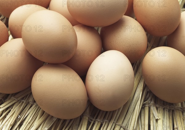 Chicken Egg, Chicken Eggs, Eggs, Chicken Eggs