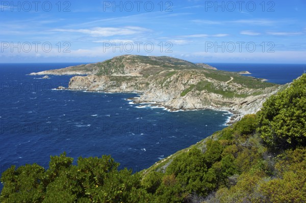 Pointe de la Revellata, peninsula near Calvi, Corsica, France, Europe
