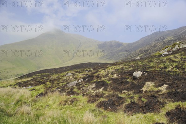 Slieve Mish Mountains, Burning Meadows, Ballyarkane Oughter, County Kerry, Ireland, Europe