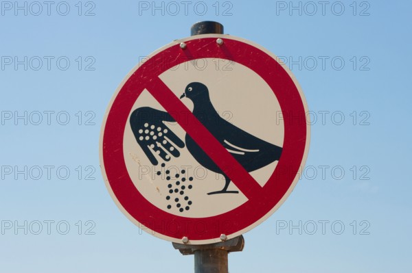 Prohibition sign, feeding forbidden, feeding ban for pigeons, Germany, Europe