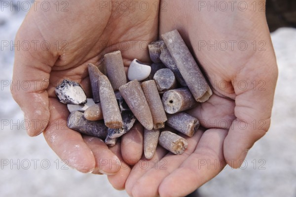 Thunderbolts in Hand, Jasmund National Park, Rügen Island, Mecklenburg-Western Pomerania, Germany, Europe