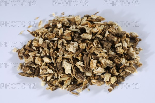 Lovage (Levisticum officinale), dried root, maggi-weed, lovage root