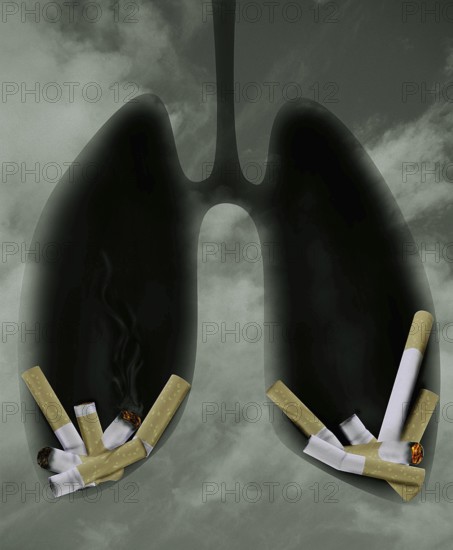 Cigarettes in Lungs, Symbolic photo