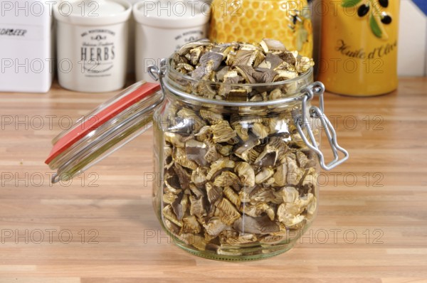 Dried oyster side pieces (Pleurotus ostreatus) in storage jar, preserving jar