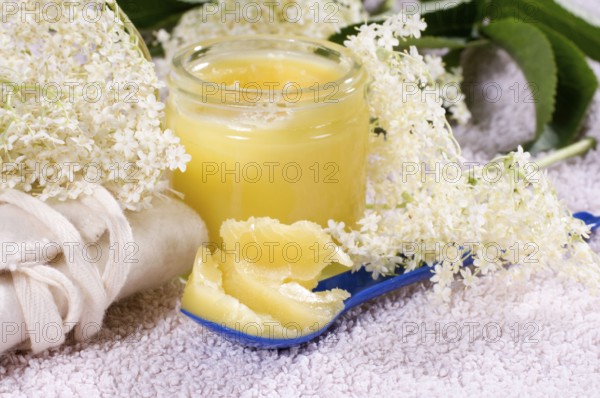 Elder (Sambucus nigra), production of elderberry ointment, glass with ointment