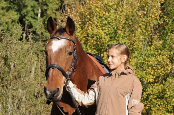 Girl and old horse, Trakehner, gelding, 32 years old, German warmblood, riding horse, bridle