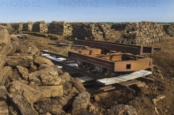 Peat, Goldenstedter Moor, Lower Saxony, Germany, Europe