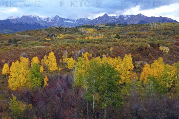 View from Dallas Divide to Sneffles Range, Ridgway, Colorado, USA, North America