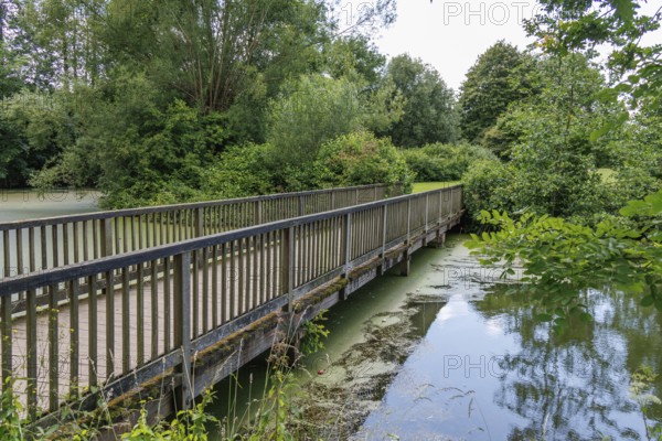 Wooden bridge over a pond, surrounded by lush vegetation and tranquil nature, borken, North Rhine-Westphalia, Germany, Europe